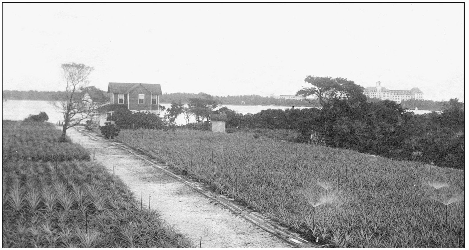 The Royal Poinciana Hotel on Palm Beach could be seen from the Clow residence - photo 5
