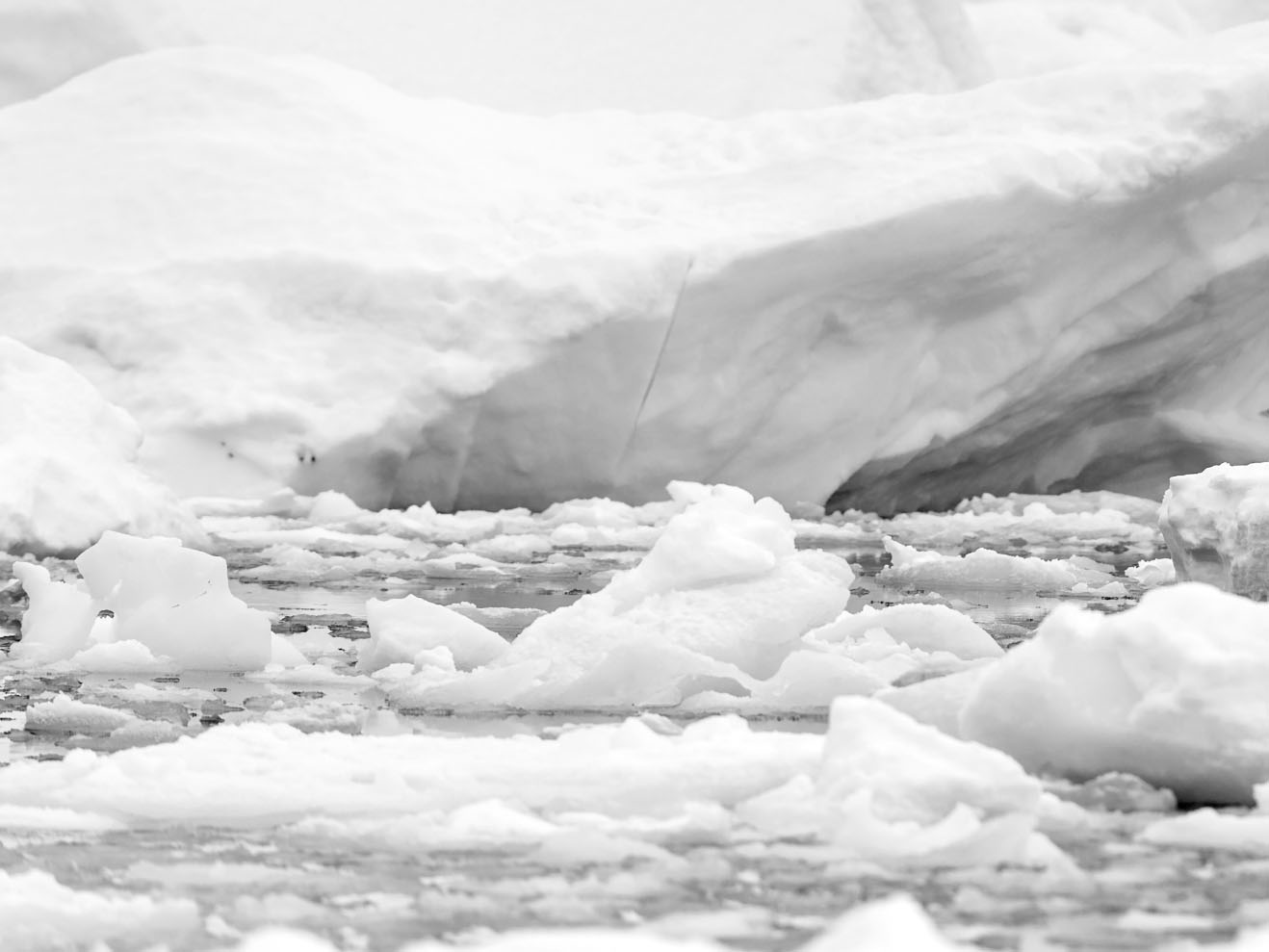 INDEX The Jeannette is pounded by Arctic ice JUNE 11 1881 - photo 3