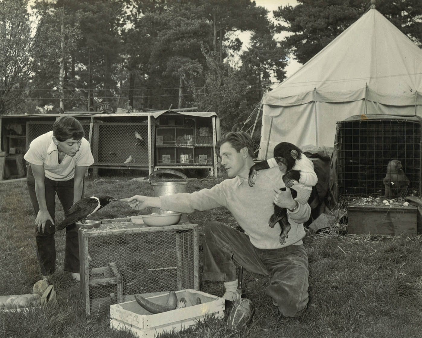 The zoos of the 1940s and 1950s were little more than menageries Durrell was - photo 9