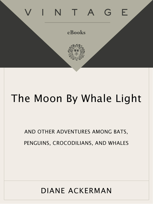 PRAISE FOR Diane Ackermans THE MOON BY WHALE LIGHT One of our most - photo 1