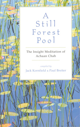 Breiter Paul A still forest pool: the insight meditation of achaan chah