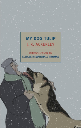 Ackerley Joe Randolph - My Dog Tulip