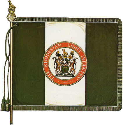 Presidents Colour Regimental Colour - photo 3