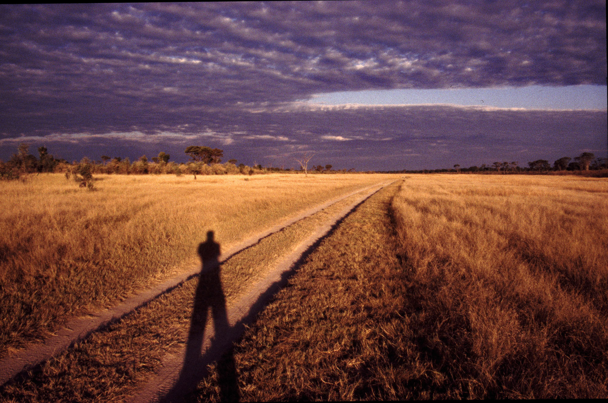 Linkwasha Hwange National Park This book is dedicated to my father John - photo 2