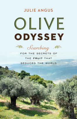Angus - Olive odyssey: searching for the secrets of the fruit that civilized the world