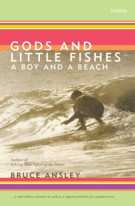 Ansley Gods and little fishes: a boy and a beach