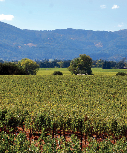 Frommers Napa Valley and Sonoma Day by Day - photo 2