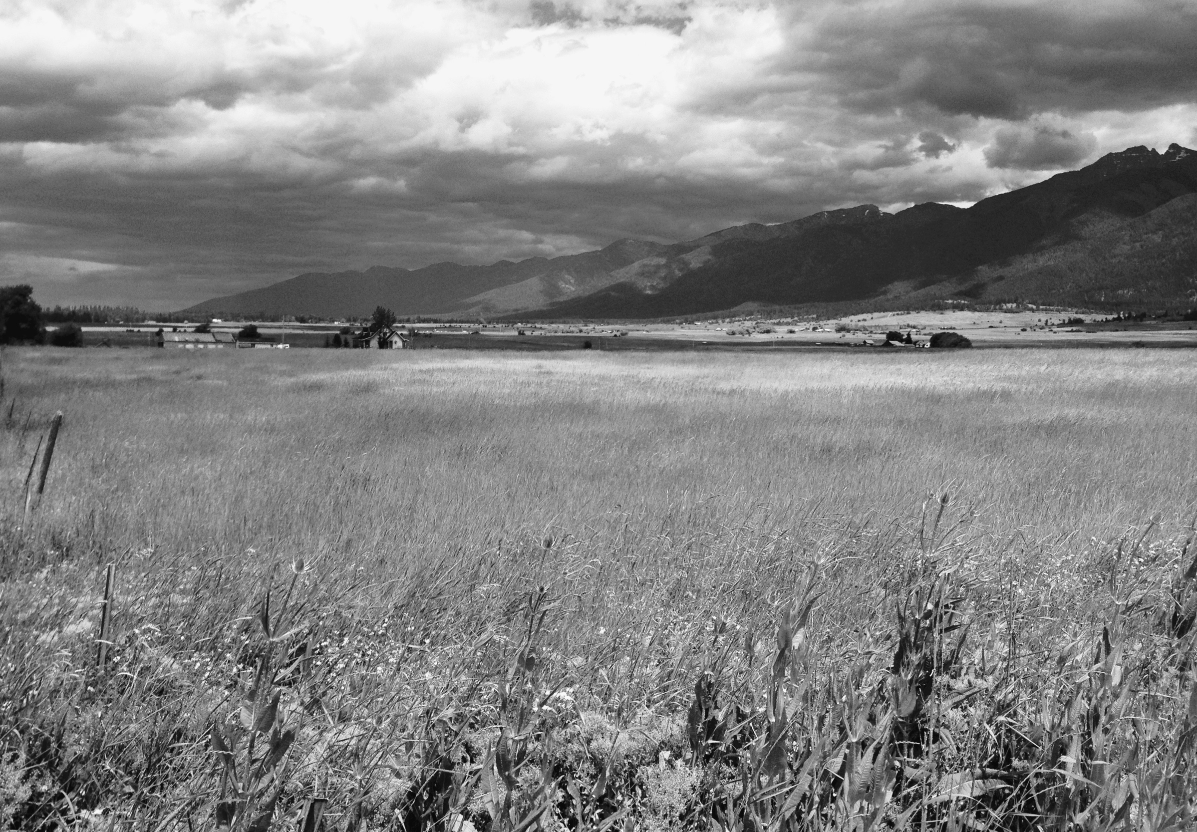 Sheer peaks mark the eastern edge of Montanas Mission Valley Gray Wolf the - photo 1