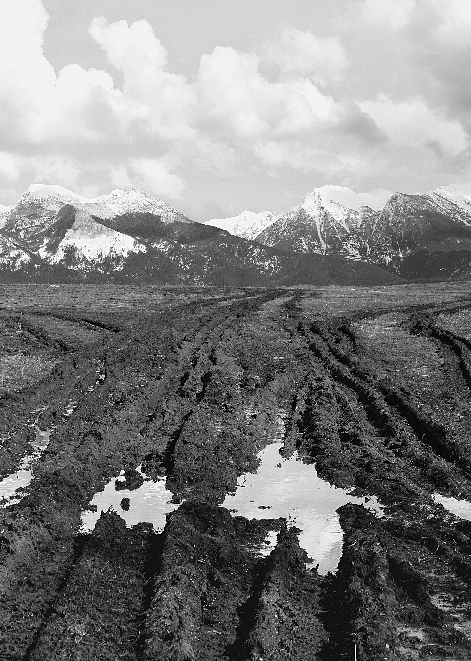 Sheer peaks mark the eastern edge of Montanas Mission Valley Gray Wolf the - photo 2