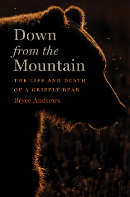 Andrews Down from the mountain the life and death of a grizzly bear