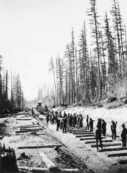 Canadian Pacific Archives NS 13561-2 Track construction in the lower Fraser - photo 9