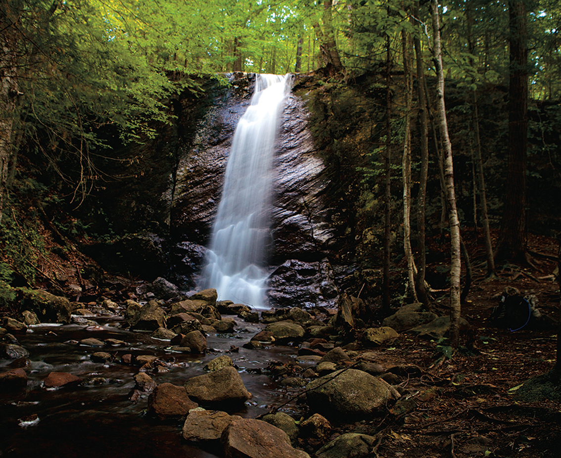 CASCADE FALLS IN THE PIGEON LAKE WILDERNESS AREA COURTESY OF SHAUN ONDAK - photo 5