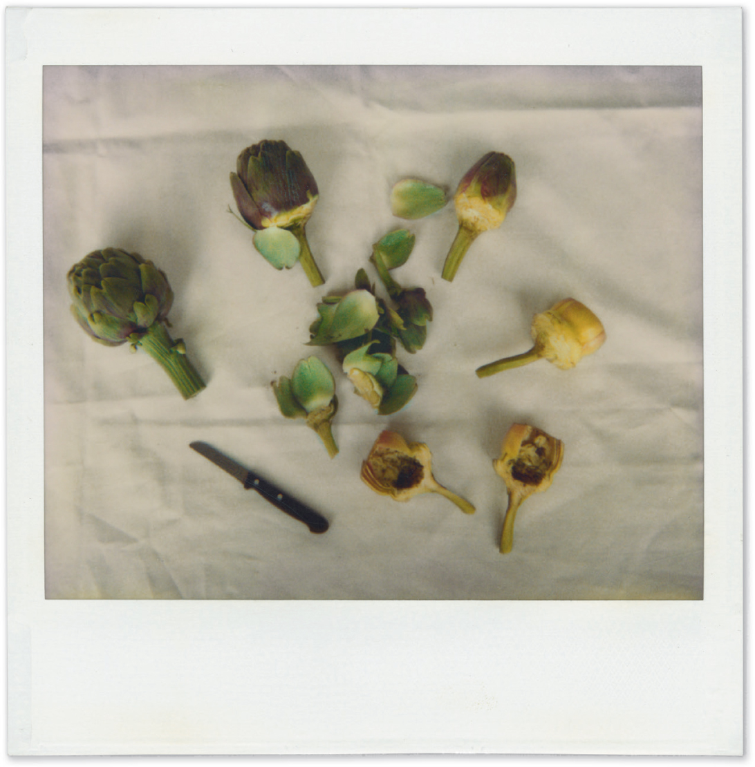 Marinated Artichokes The polaroid was taken for one of our earlier books to - photo 9