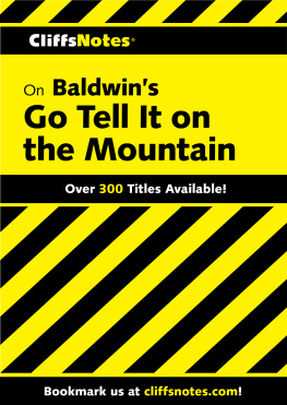 Ann McNett CliffsNotes on Baldwins Go Tell It on the Mountain