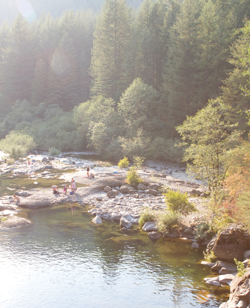 Summer vibes at Dougan Falls INTRODUCTION WASHINGTON STATE IS HOME to more - photo 4