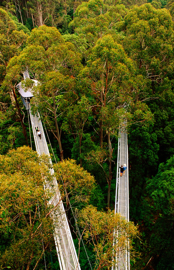 RICHARD IANSONGETTY IMAGES Head north to the natural wonder of the Great - photo 6