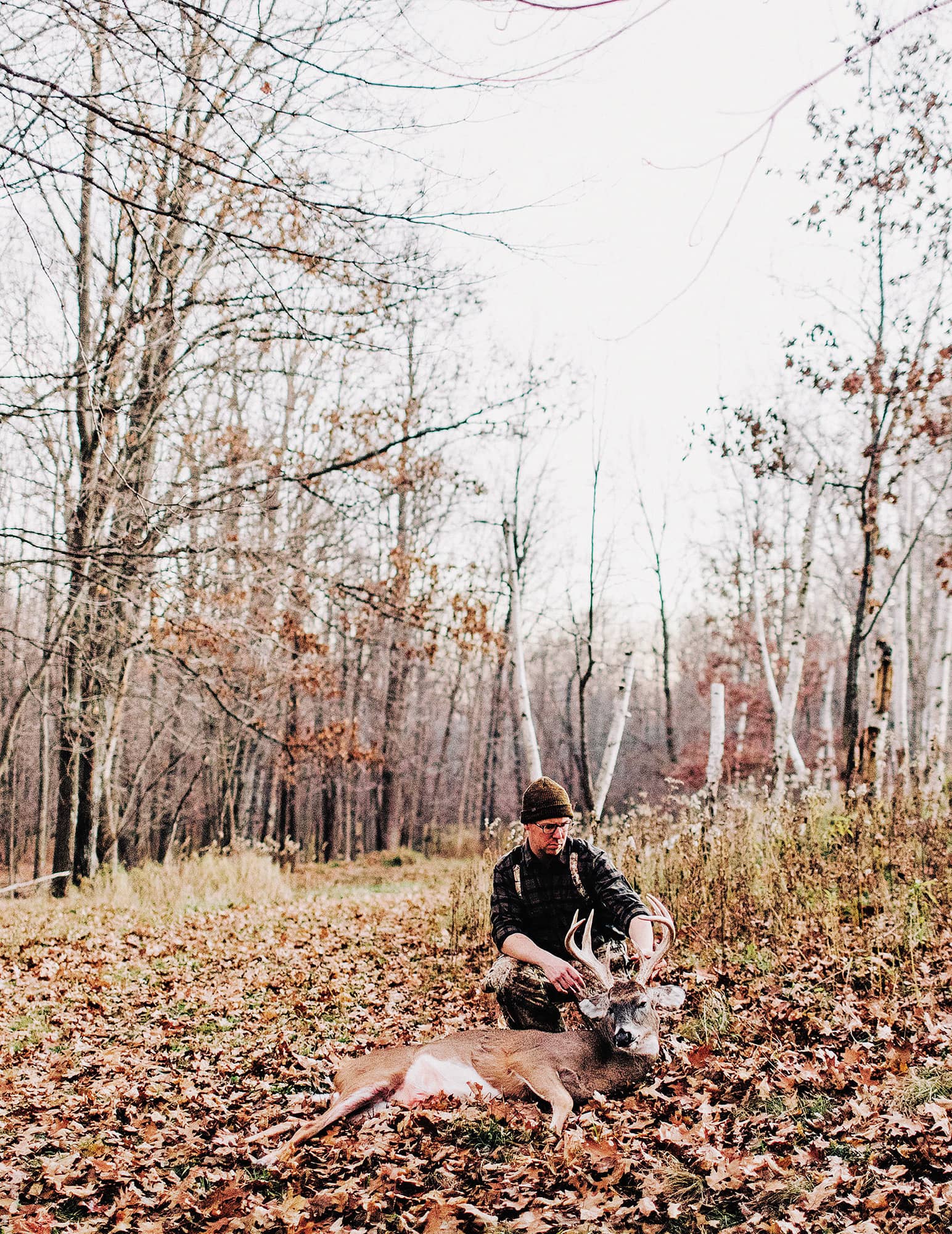 VENISON THE SLAY TO GOURMET FIELD TO KITCHEN COOKBOOK JON WIPFLI PHOTOGRAPHY - photo 2