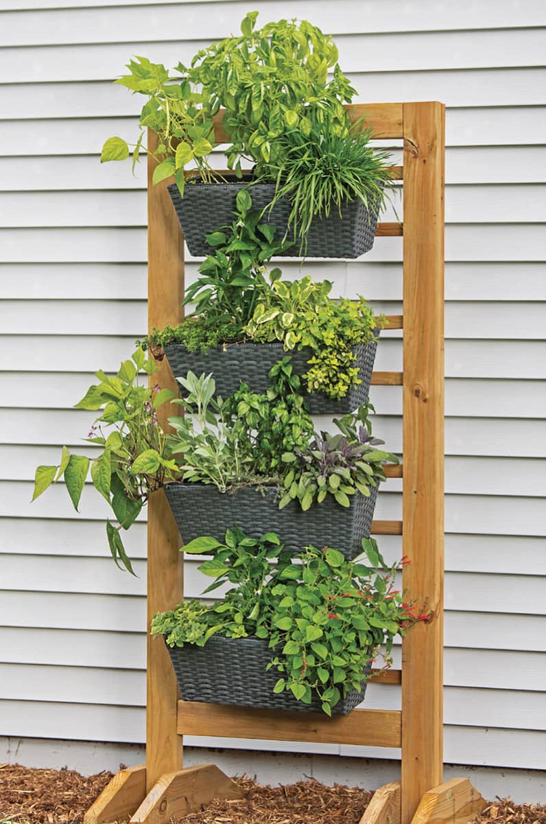 Vertical planters are highly space-efficient but they can get top-heavy - photo 7