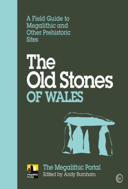 Andy Burnham - The Old Stones of Wales