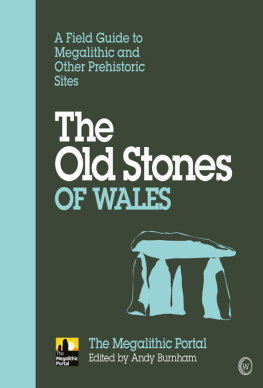 Andy Burnham The Old Stones of Wales