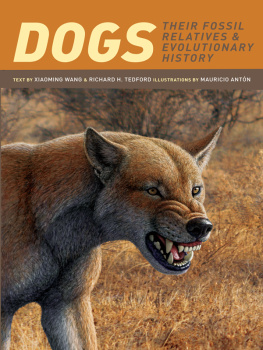 Antón Mauricio - Dogs: their fossil relatives and evolutionary history