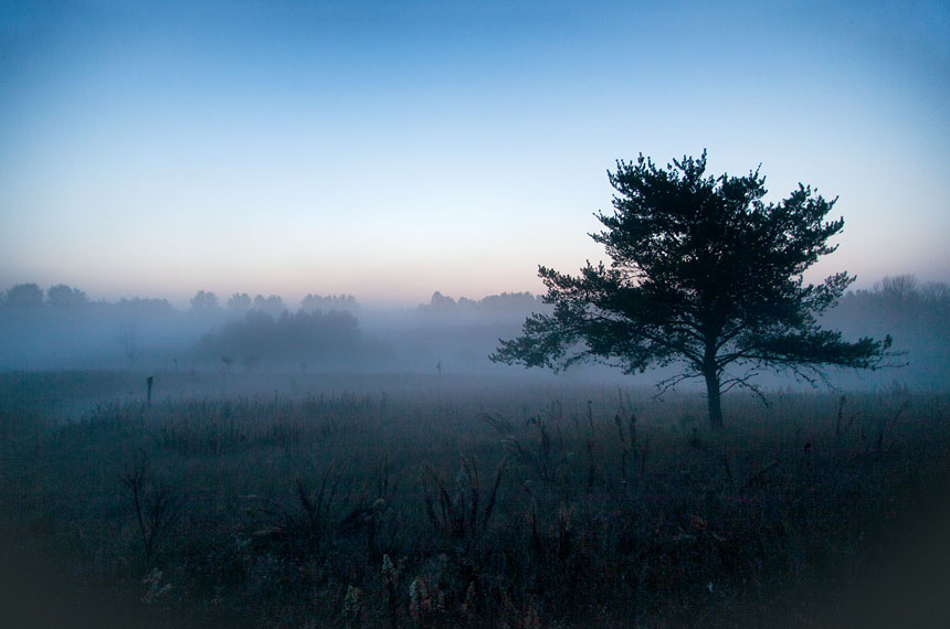 CHRONICLING FOUR SEASONS FIFTY YEARS AND 120 ACRES Jerry Apps Photographs - photo 2