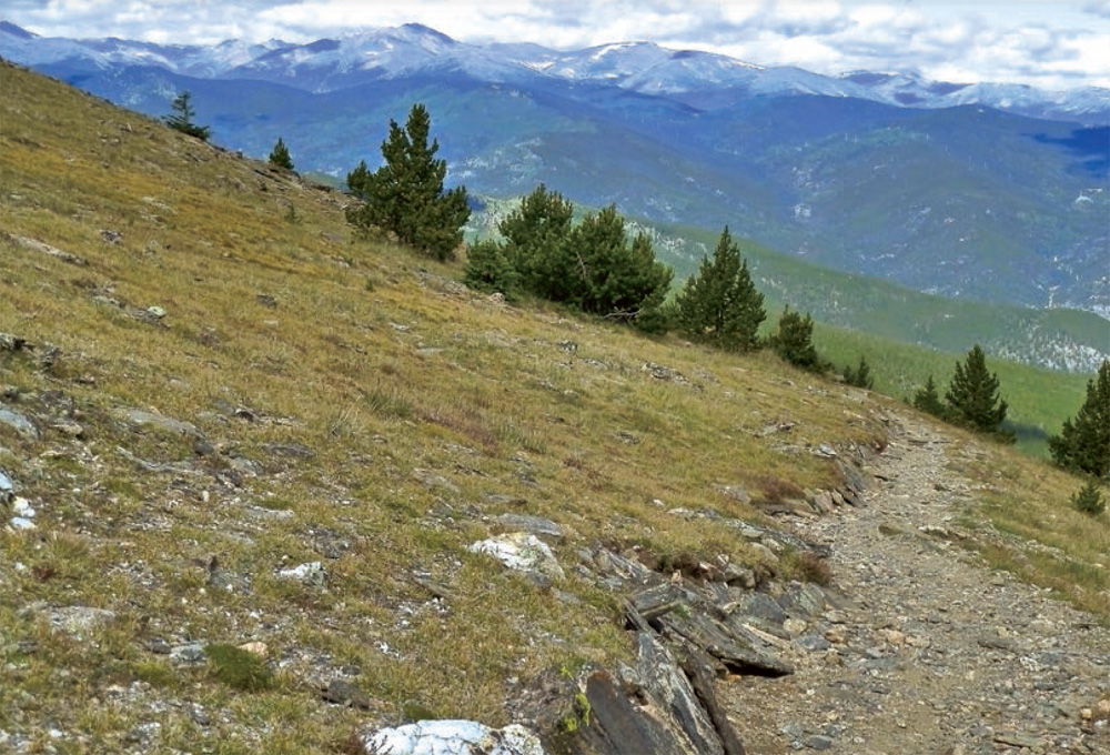 Chief Mountain Trail in the Clear Creek Ranger District is close to Denver - photo 11