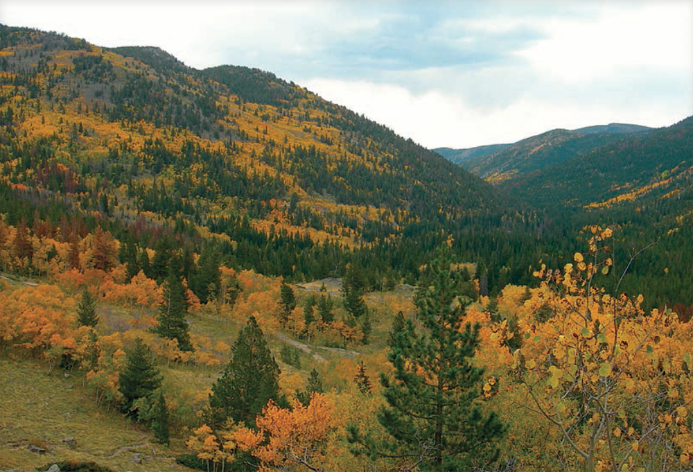 The trail winds its way through vibrant aspen trees in late September near the - photo 19