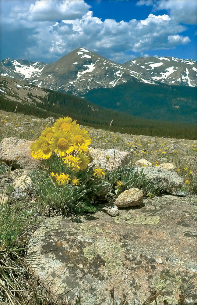 Snow-dotted peaks of the Continental Divide soar above the Meadow Mountain and - photo 29