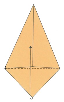 5 Turn the paper around to this position 6 Fold the bottom triangle up - photo 4