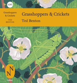 Benton - Grasshoppers & crickets