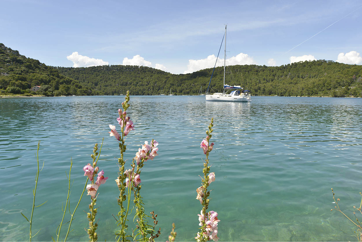 Top Attraction 8 Dominic BurdonAPA Publications Mljet National Park With two - photo 12