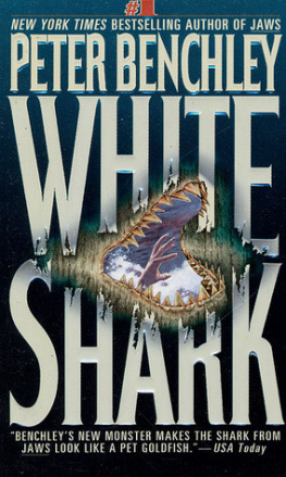 Benchley White Shark