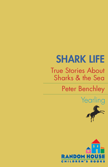 Shark Life True Stories About Sharks the sea - image 1