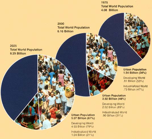 Increase in the Worlds Urban Population 1975-2025 The Urban Transformation - photo 2