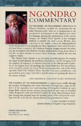 Jane Tromge Ngondro commentary: instructions for the concise preliminary practices of the new treasure of Dudjom