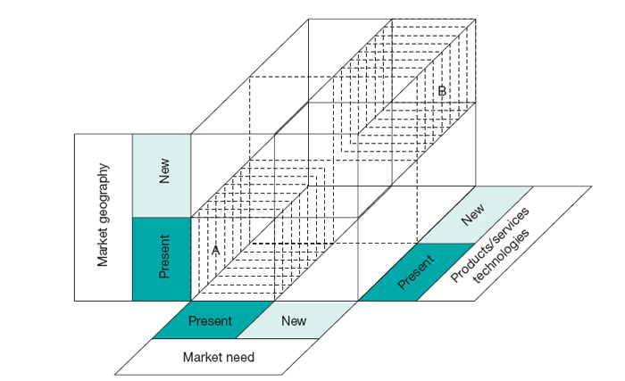 Figure 12 Ansoffs dimensions of the geographic growth vector market need - photo 5