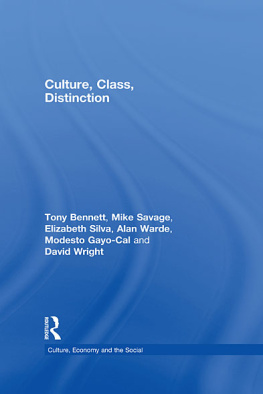 Bennett Tony - Culture, Class, Distinction