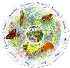 Wildlife Garden Month by Month - image 2