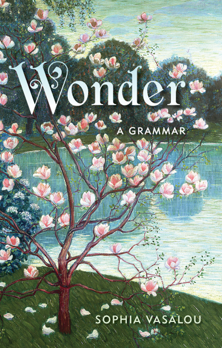 Wonder a grammar - image 1