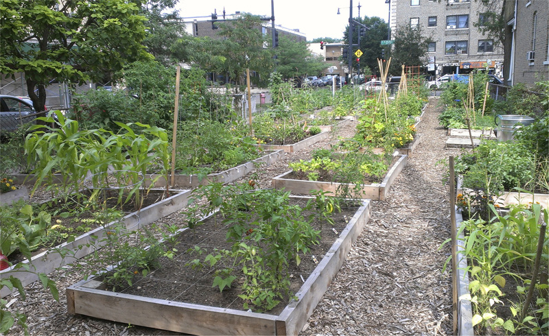 Community gardens are an old idea enjoying new popularity Shared Backyards - photo 10