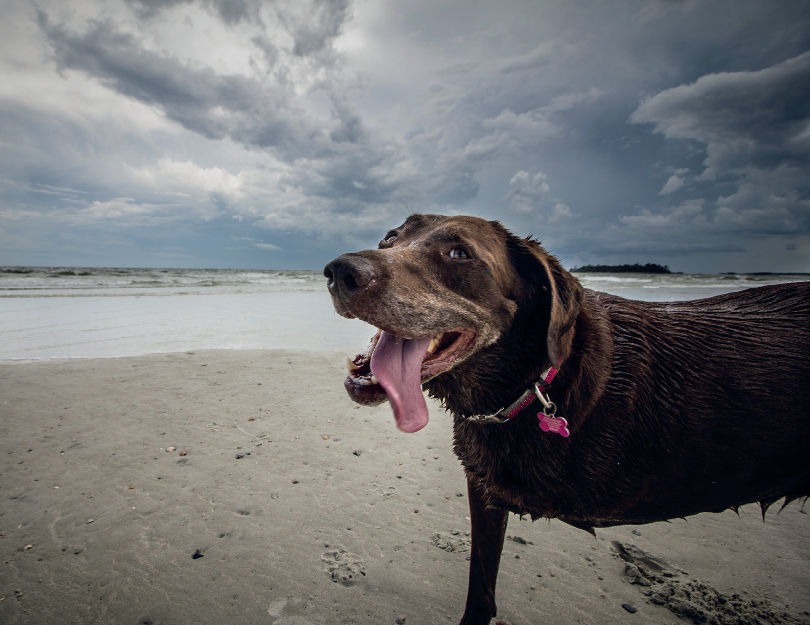 After a romp in the Atlantic Tybee Island GeorgiaAt a water rescue course - photo 14