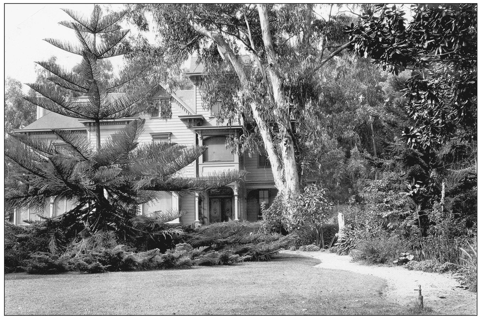 The original Bard family home at Berylwood is pictured here prior to 1911 when - photo 6