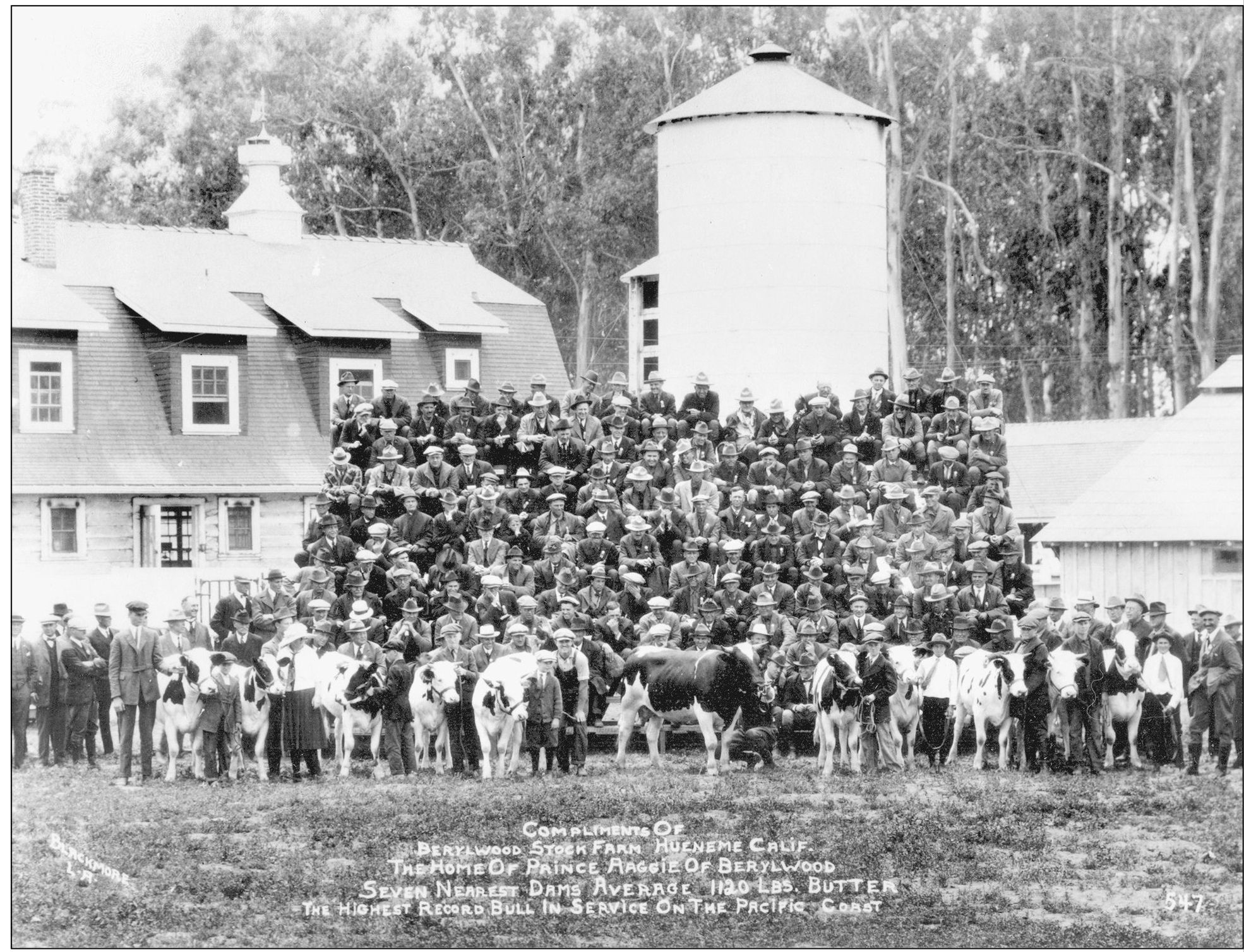 The Berylwood Stock Farm and staff are pictured outside the dairy in 1921 The - photo 11