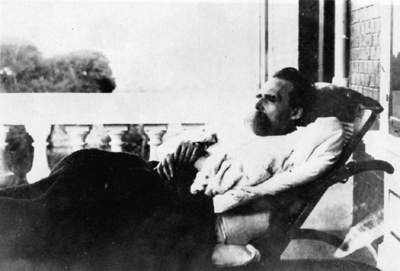 The insane Nietzsche on the balcony at Villa Silberblick in Weimar shortly - photo 24