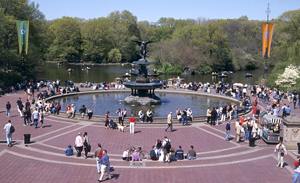 Central Park Metropolitan Museum of Art It would take weeks to see all - photo 17