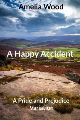 Amelia Wood - A Happy Accident
