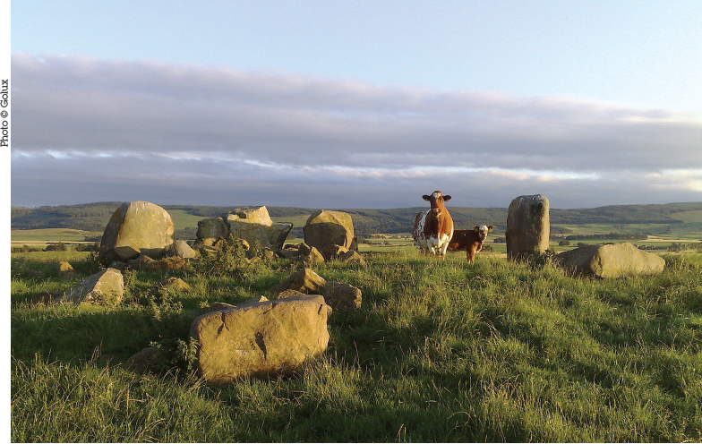 Ardlair recumbent stone circle Cows represent one of the biggest challenges - photo 1
