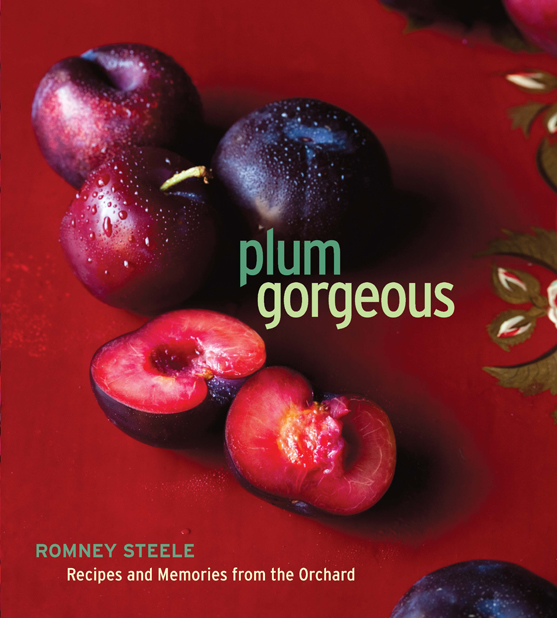 Plum Gorgeous copyright 2011 Romney Steele Photography copyright 20 - photo 1