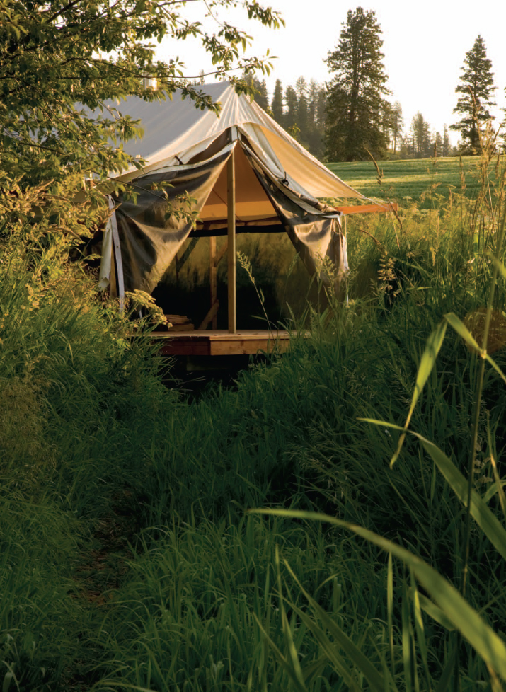 Wall tents back in my grandmothers day came octagonal some even 12-sided but - photo 17